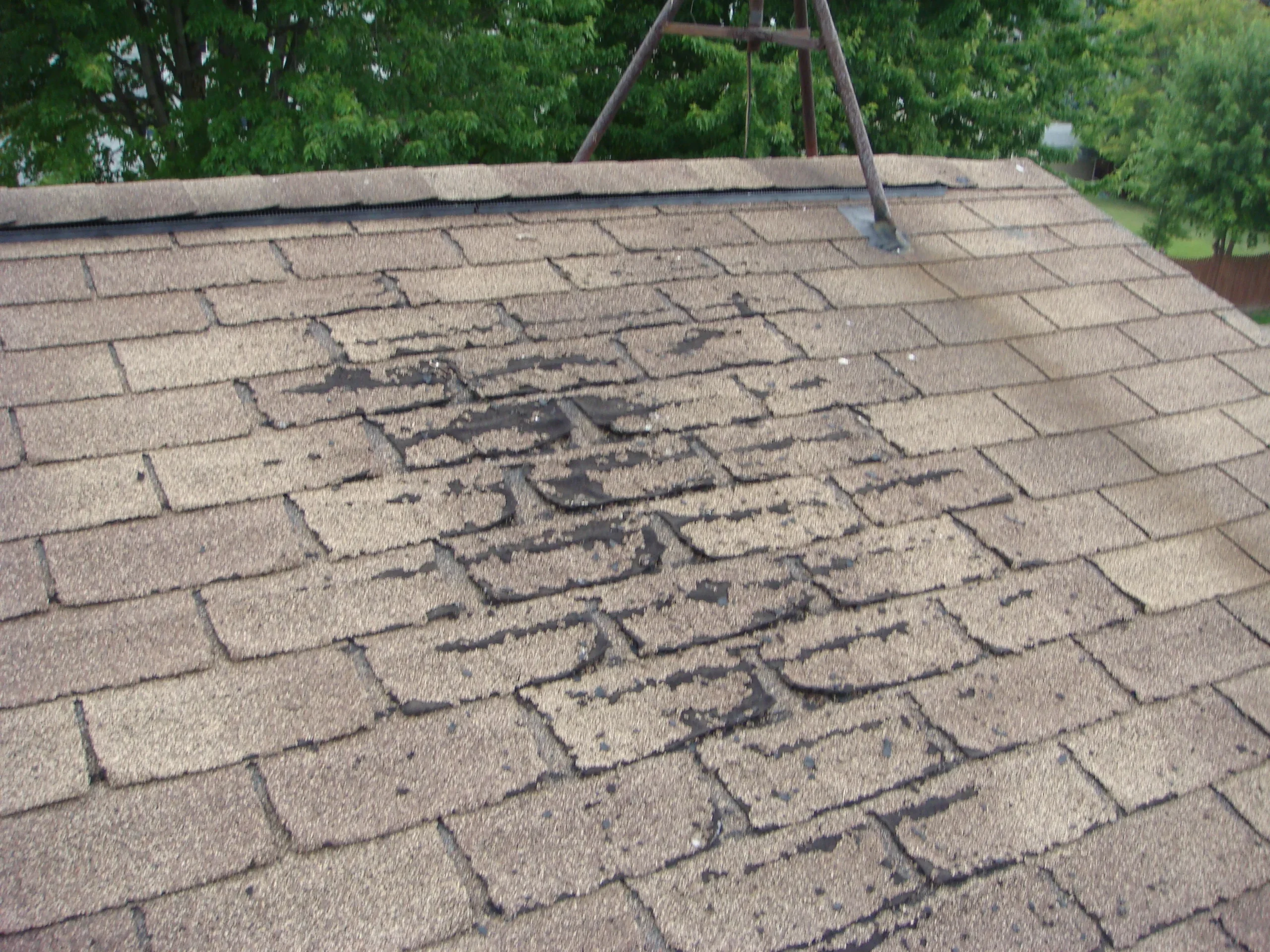 Close-up of curling and missing asphalt shingles on Niagara Falls NY home - roof repair niagara county warning signs