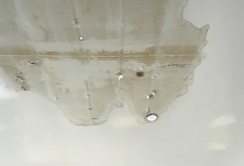 Detailed cutaway of a residential home showing water seeping through the ceiling with water coming through my ceiling — is it the roof?